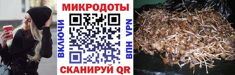 гидра рабочий сайт  Мосальск  Псилоцибиновые грибы MAGIC MUSHROOMS  цена наркотик 
